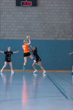 Bild 59 - Frauen OL TuS Esingen - SG Niendorf/Wandsetal : Ergebnis: 24:17